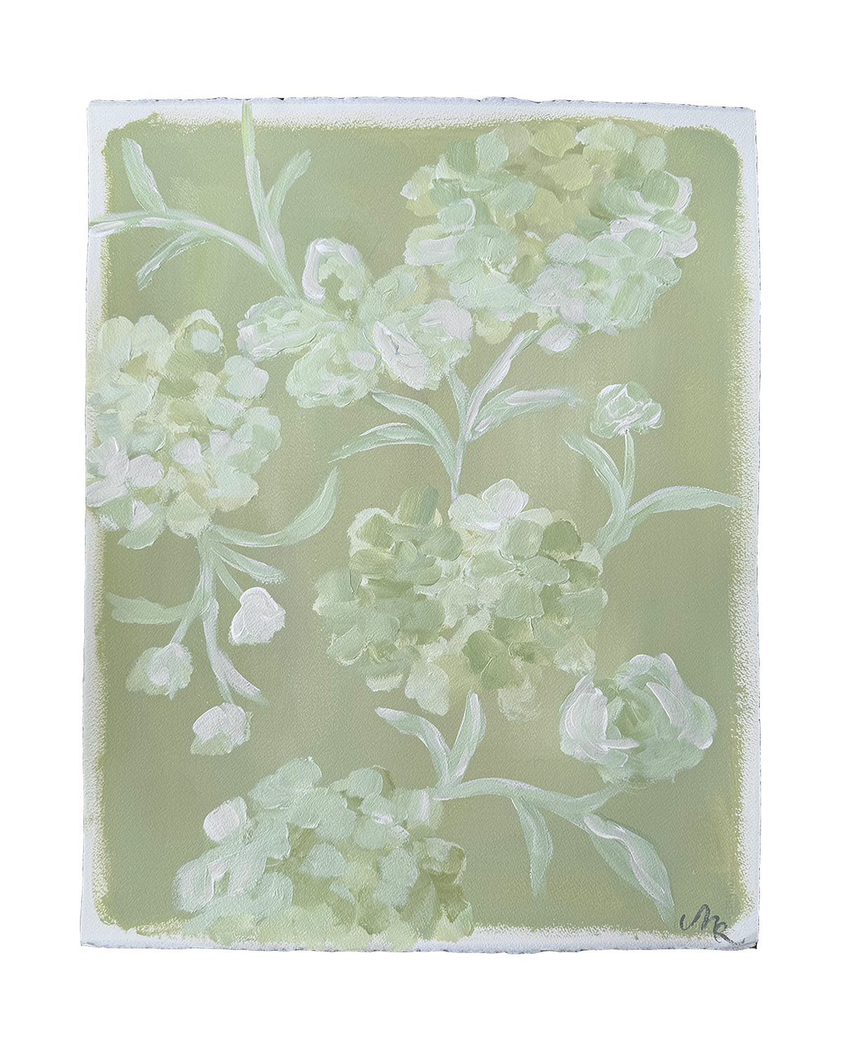 16 x 20 Floral Study IV