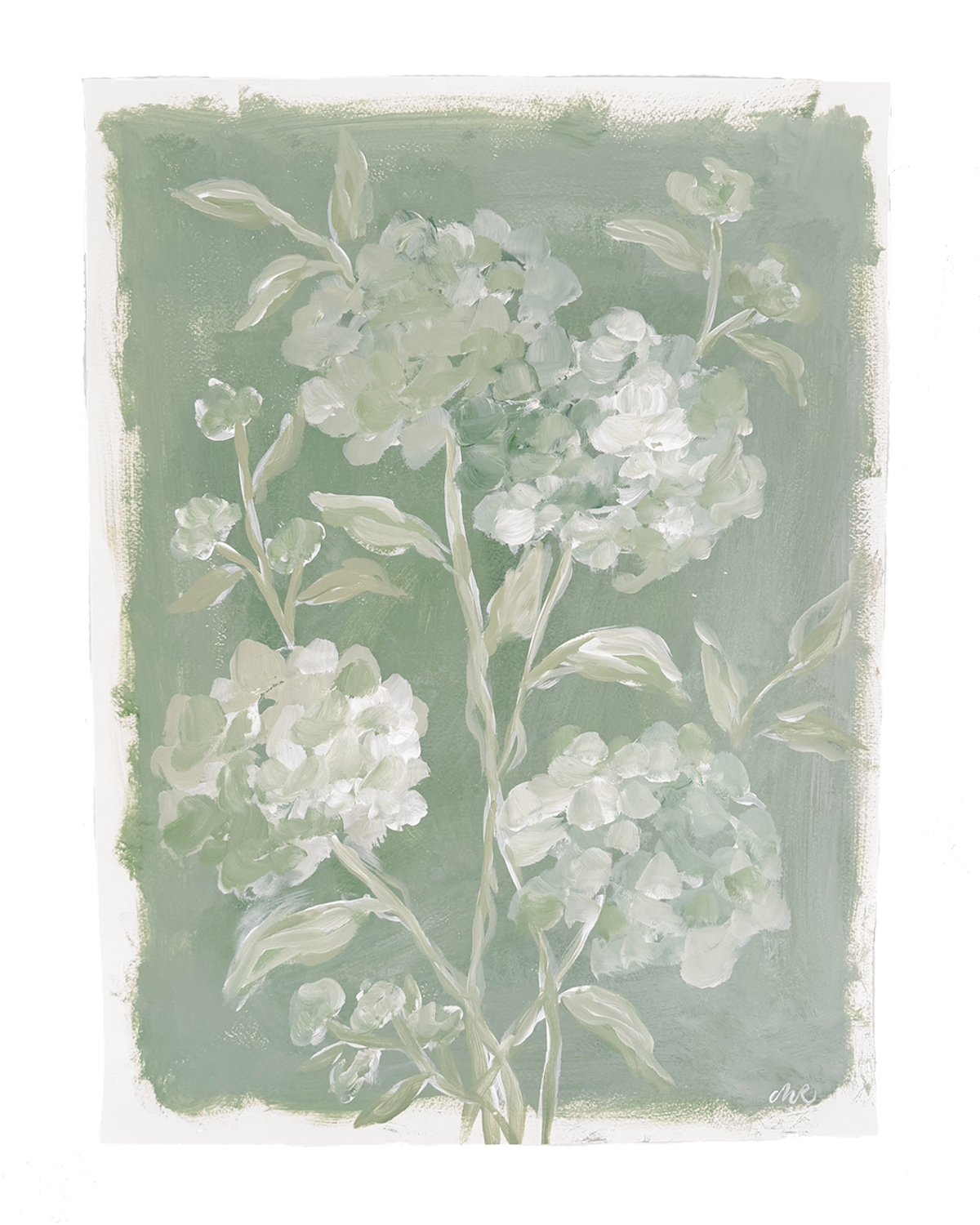 Floral Study II