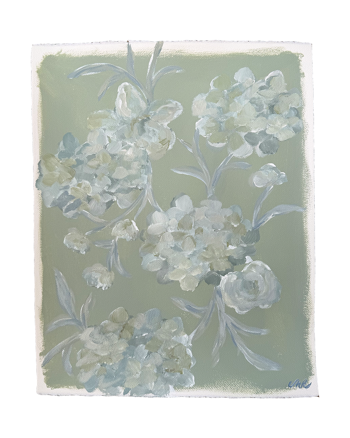16 x 20 Floral Study II