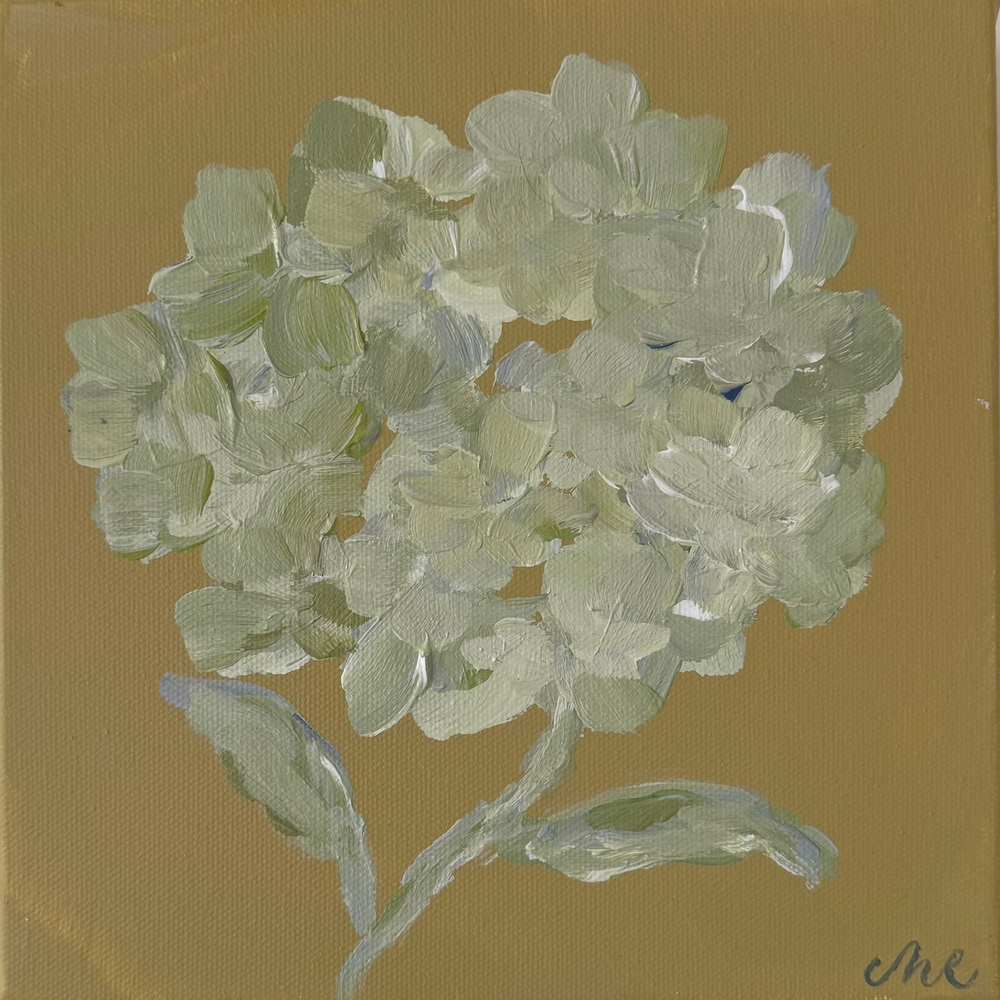 Petal Study I