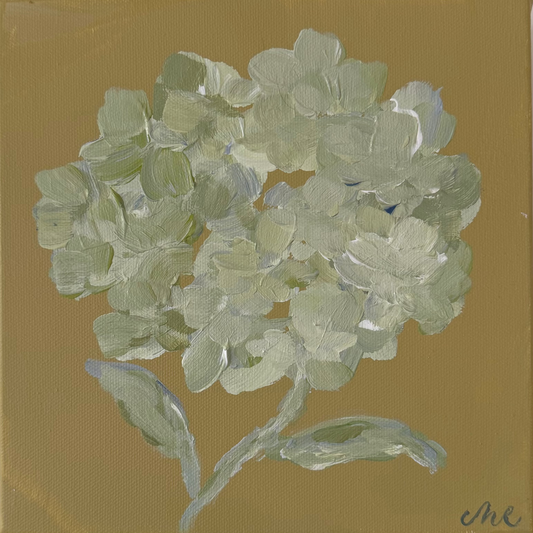 Petal Study I
