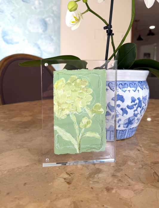 Hydrangea Whimsy I