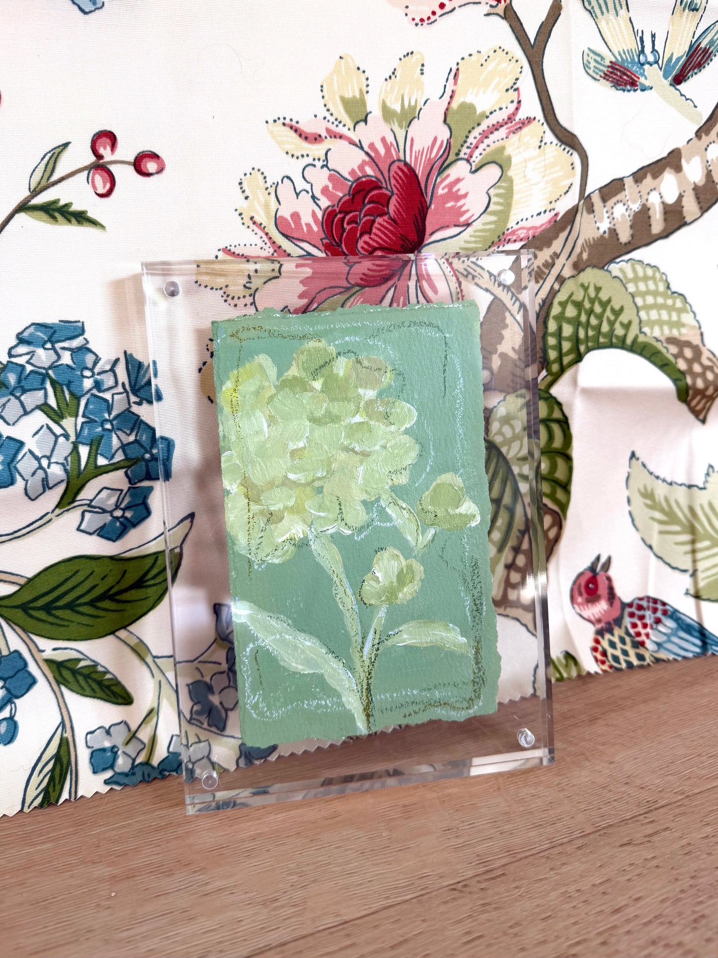 Hydrangea Whimsy I