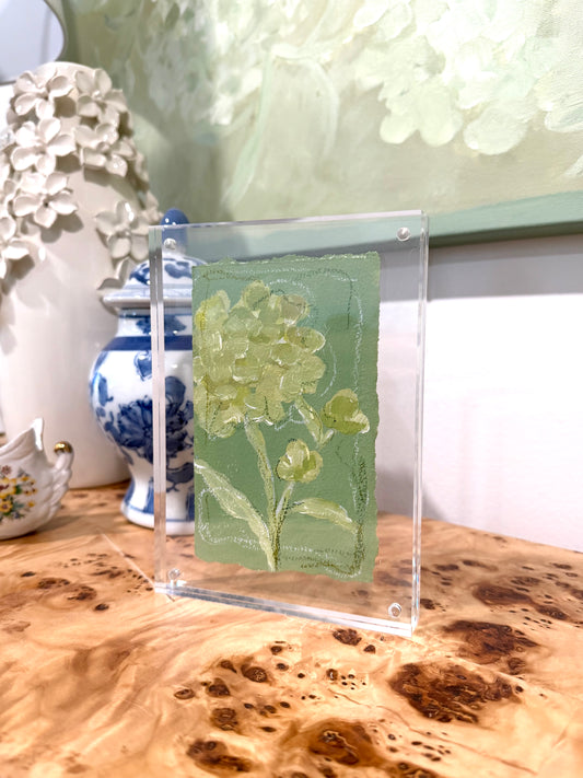 Hydrangea Whimsy I